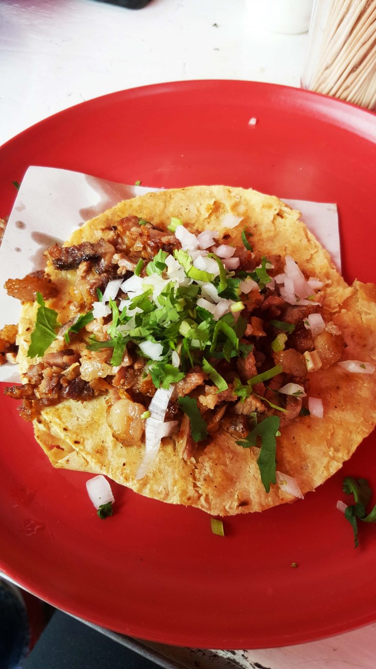 Taco Suadero - INDININI Life